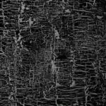 File:A YOUNG BLACK CHILD, ONE OF THE NEARLY 1.2 MILLION PEOPLE OF HER ...