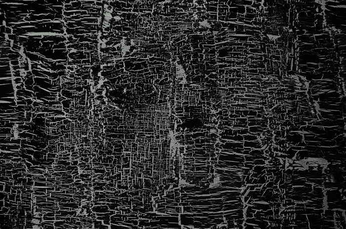 File:A YOUNG BLACK CHILD, ONE OF THE NEARLY 1.2 MILLION PEOPLE OF HER ...